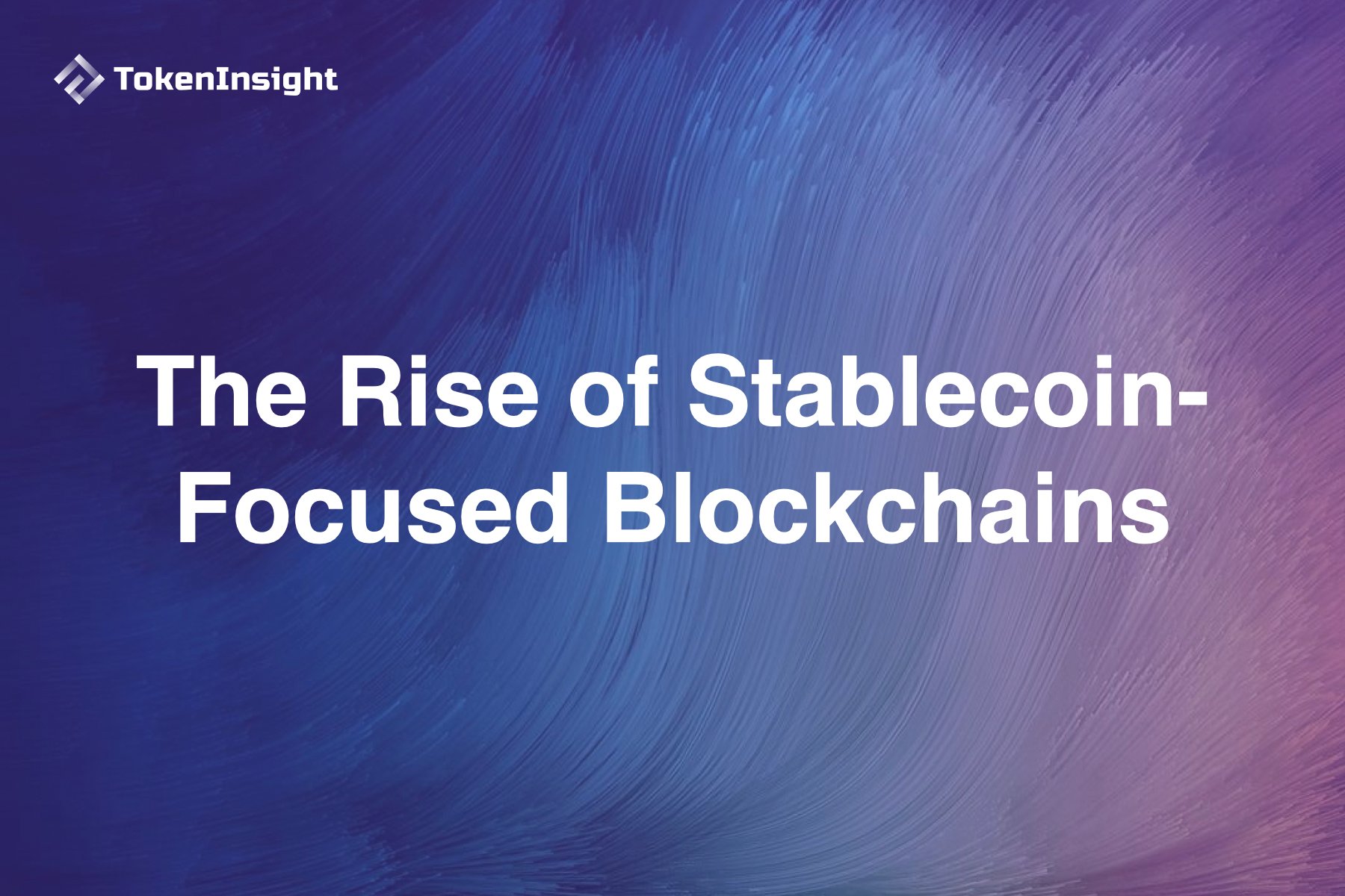 Stablechain enterprise features for stablecoin payments